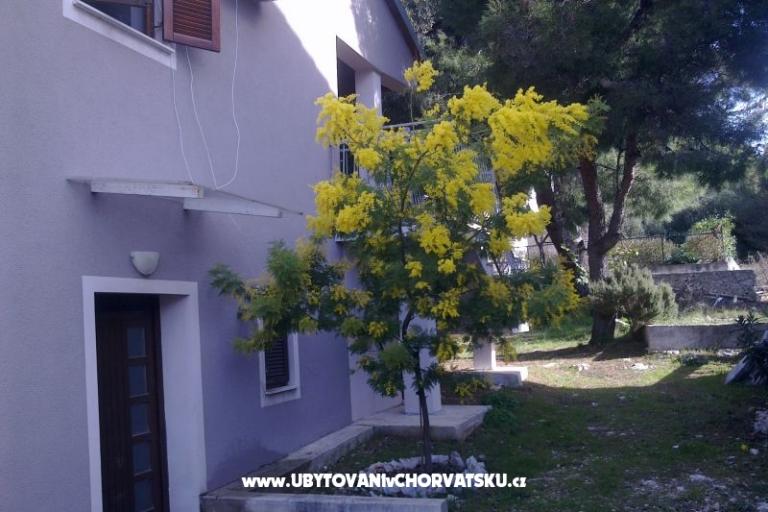 Apartmán Katarina – foto 8