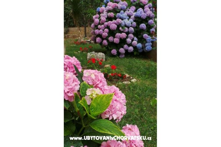 Apartmán Tomić – foto 9