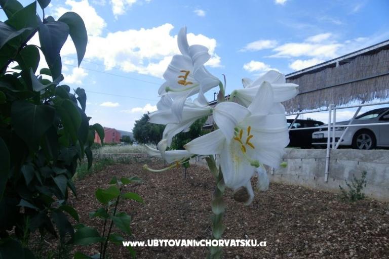 Apartmány Ante-Gojko – foto 11