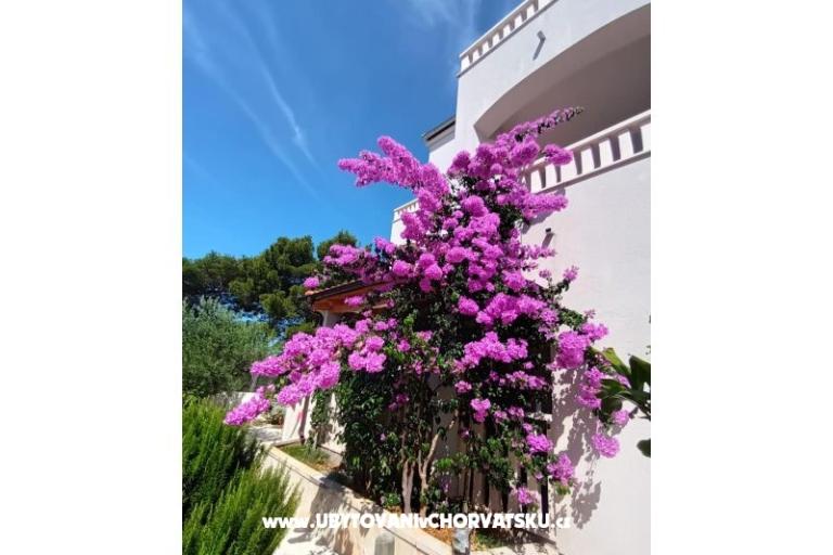 Apartmány Pinea Sol – foto 3