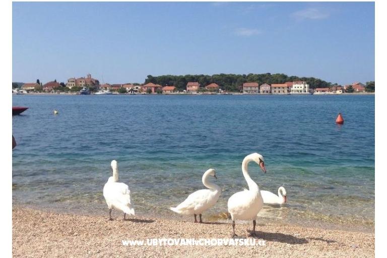 Sunset Hill Apartmány – foto 16