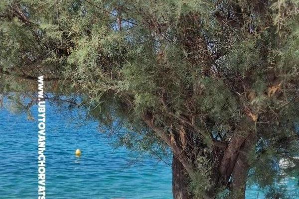 Apartmány Mare Nostrum – foto 11