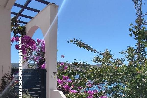 Apartmány Mare Nostrum – foto 13