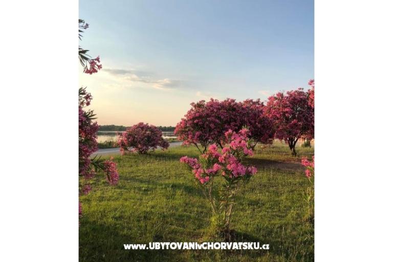 Apartmány Tin&amp;Tin – foto 15