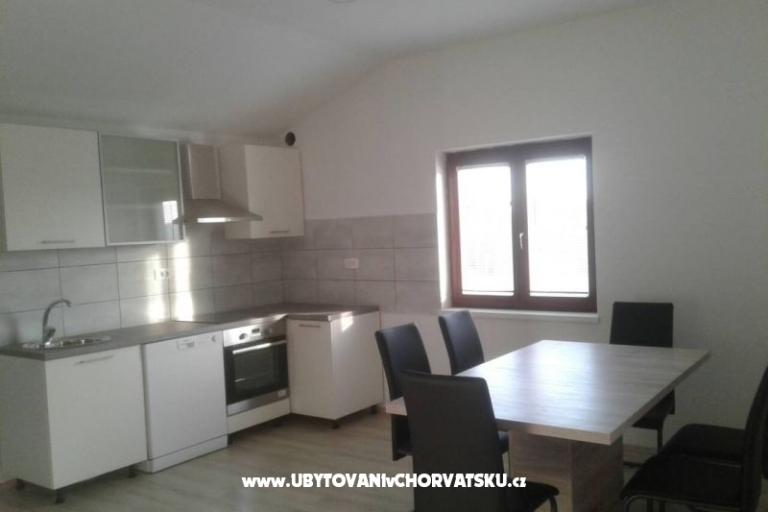 Dalmatian – foto 12