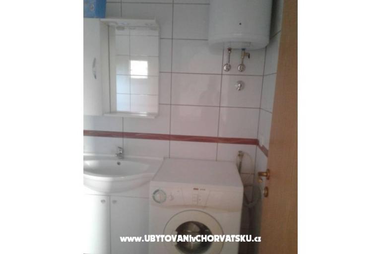 Dalmatian – foto 13