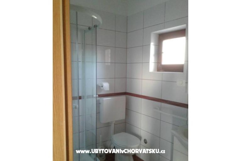 Dalmatian – foto 14