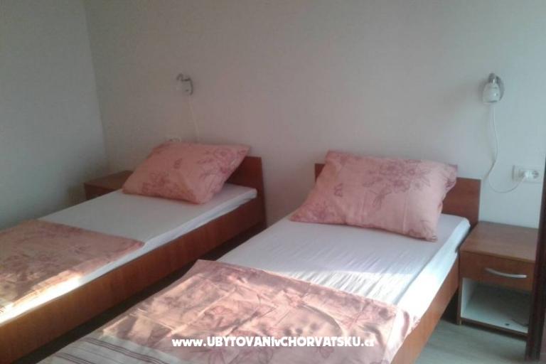 Dalmatian – foto 15