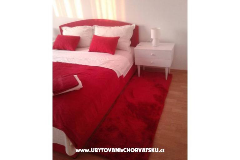 Dalmatian – foto 18