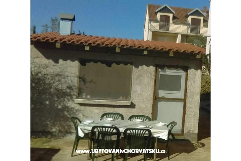Dalmatian – foto 2