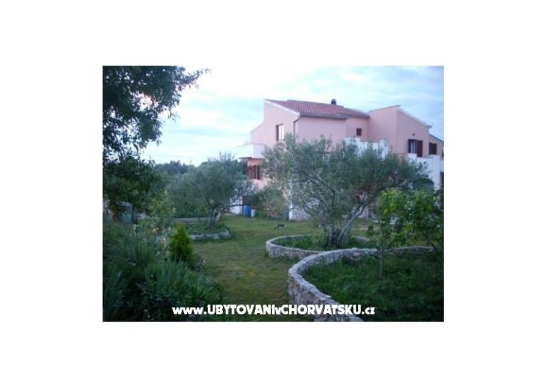Dalmatian – foto 6