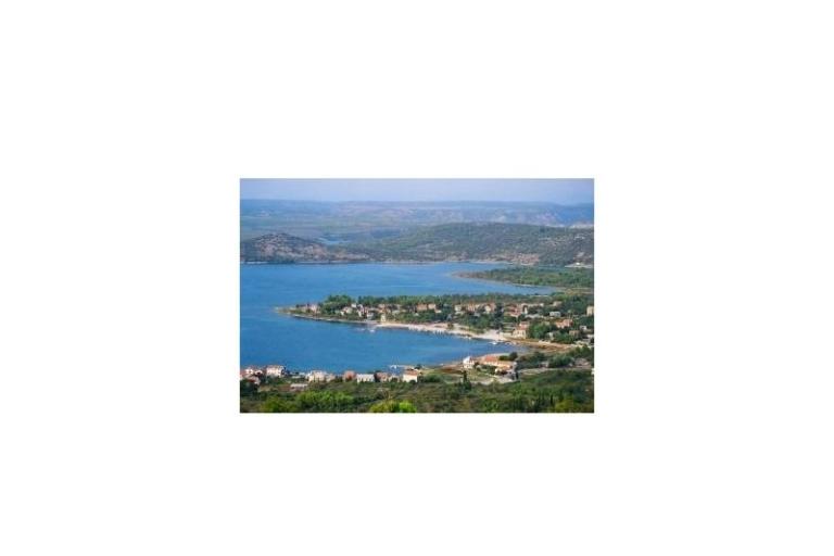 Dalmatian – foto 7