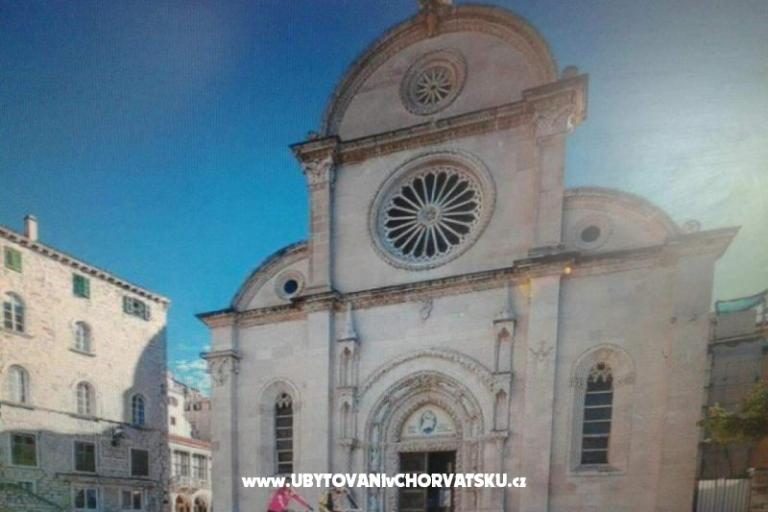 Dalmatian – foto 9