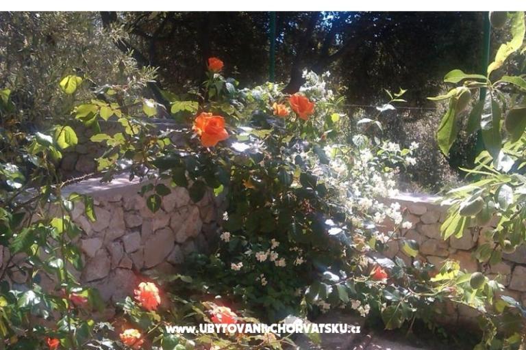 Lavanda Apartmán – foto 17