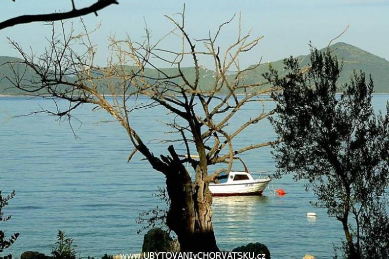 Kemp -Apartmány-Sladenovici – foto 5