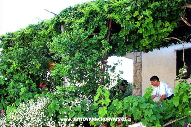 Penzion Lobrović – foto 8