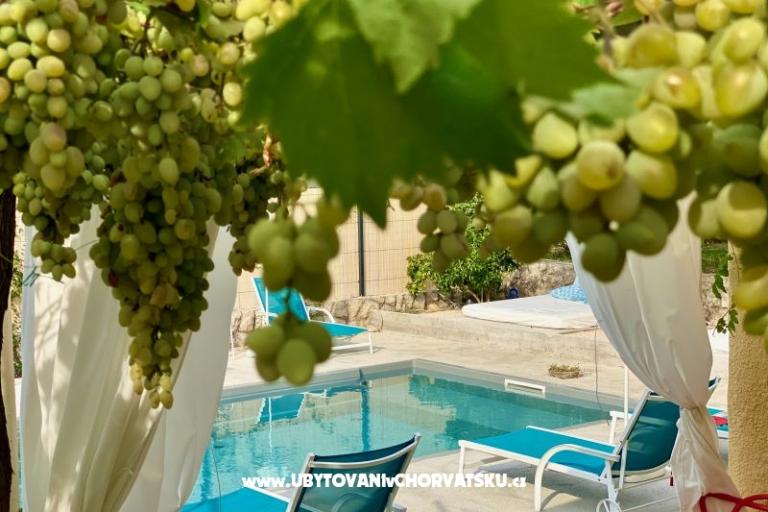 Villa Dube Slano/ villa s bazénem – foto 12