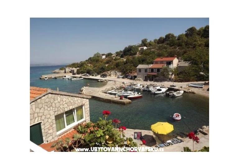 Vesna Batinic – foto 14