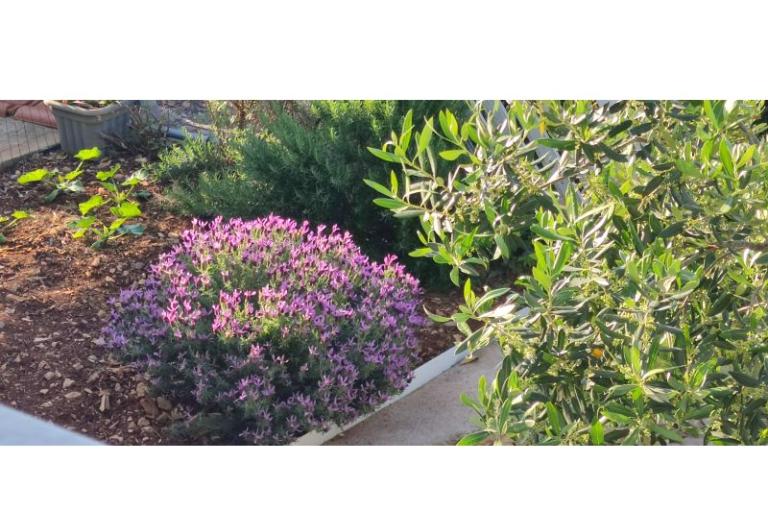 Apartmány Tiha – foto 22