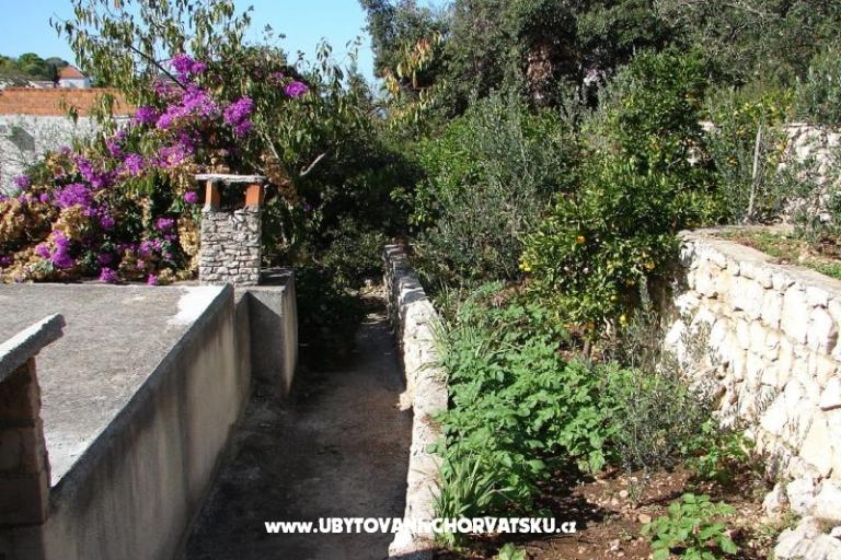 Apartmán Terezija – foto 6