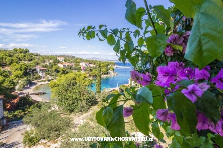 Apartmány Solta – foto 15