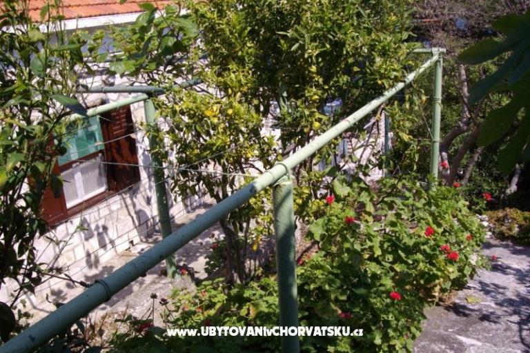 Dům k odpočinku Villa Marijeta – foto 4