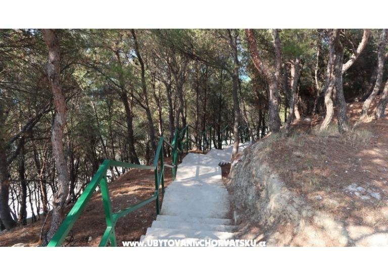 Anamarija – foto 12