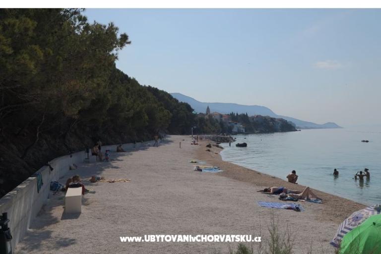 Anamarija – foto 16