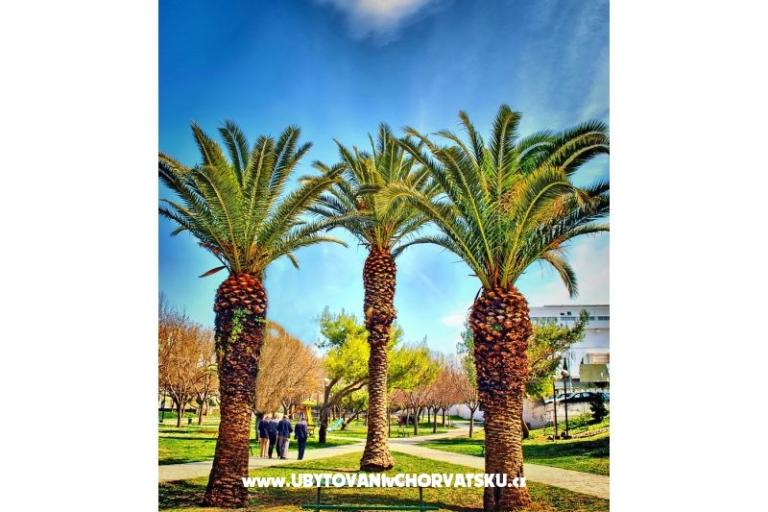 Luxury , with garden! Aenona – foto 16