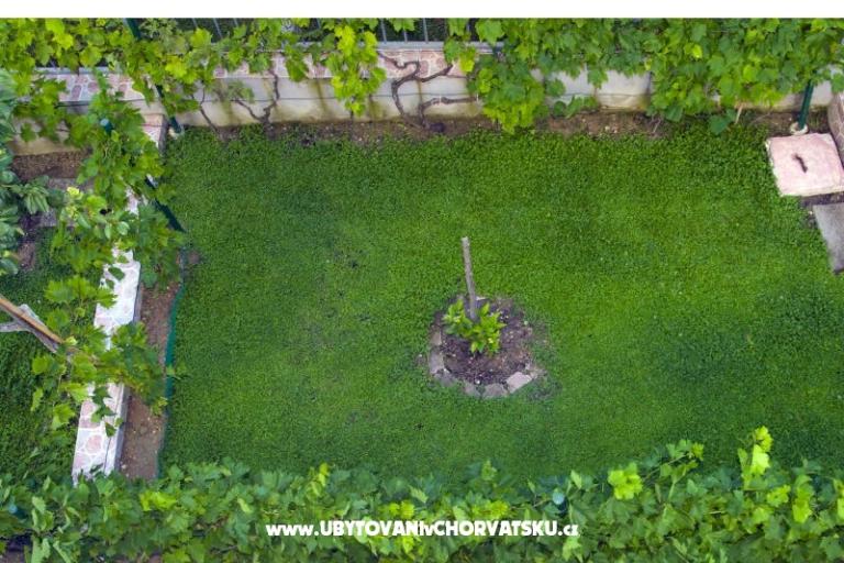 Apartmán Anica – foto 17