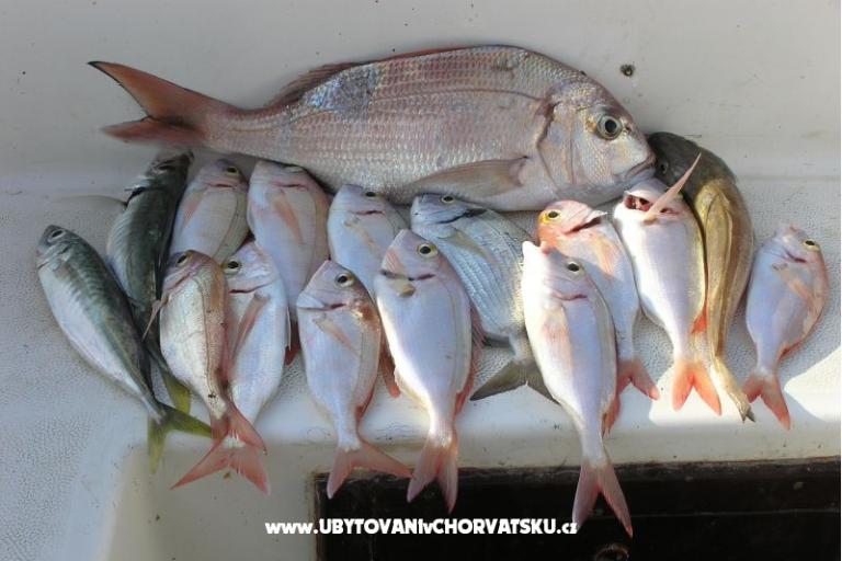 Apartmány Blažević – foto 10