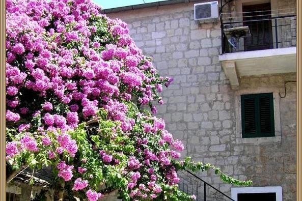 Stress Out Apartmán – foto 2