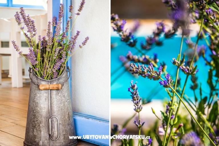 Villa Romansa- 22 km from Split – foto 7