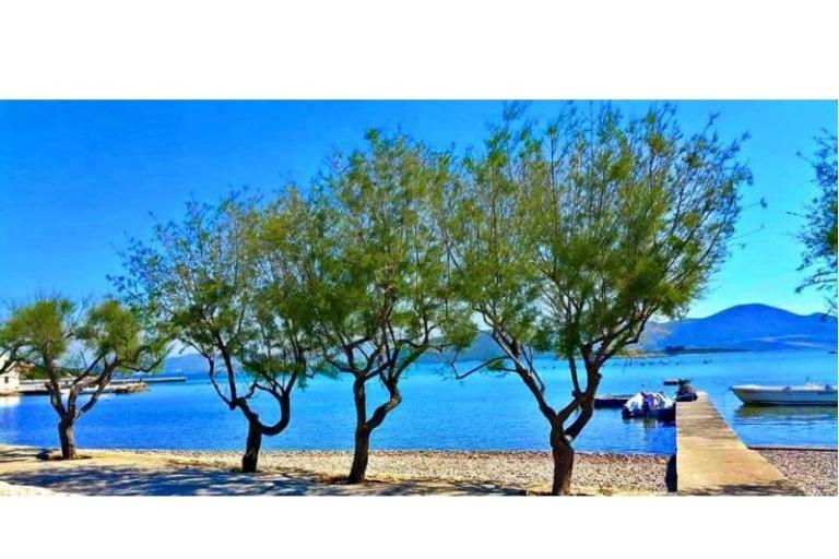 Apartmán Ana – foto 12