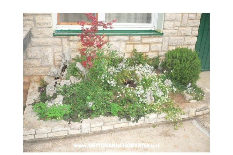 Dům k odpočinku Goga – foto 4