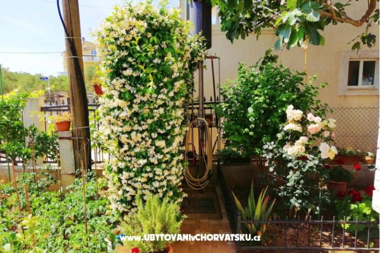 Apartmány Brković – foto 8