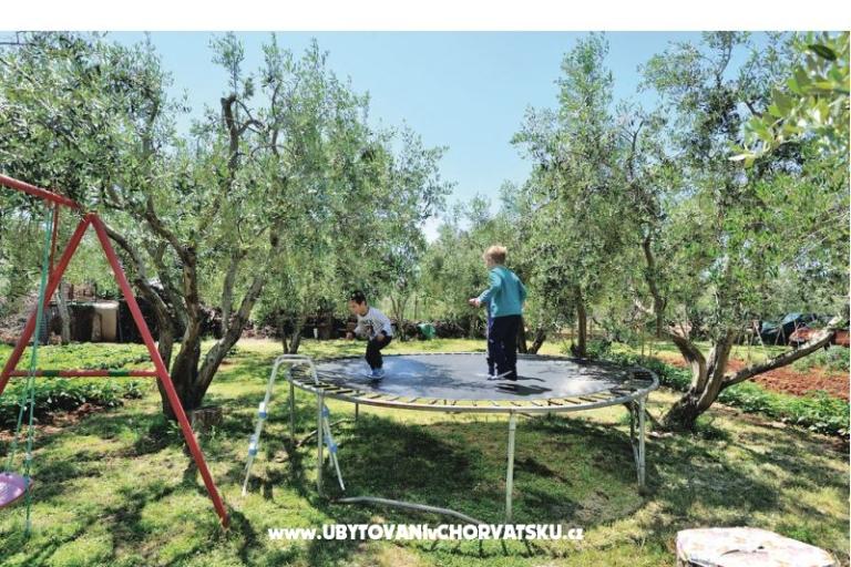 Apartmány Dana – foto 7