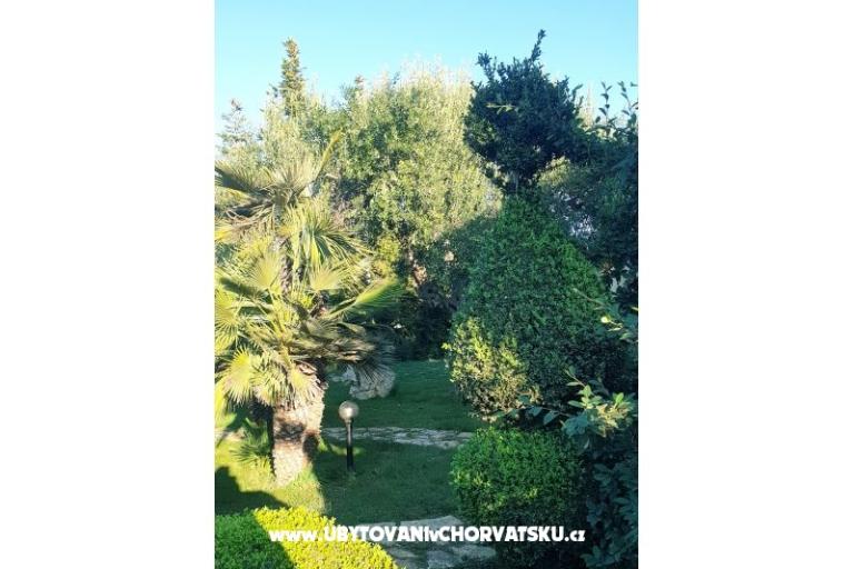 Apartmány DARIO - Sukošan – foto 63