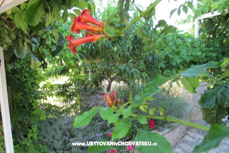 Apartmány Žeger – foto 6