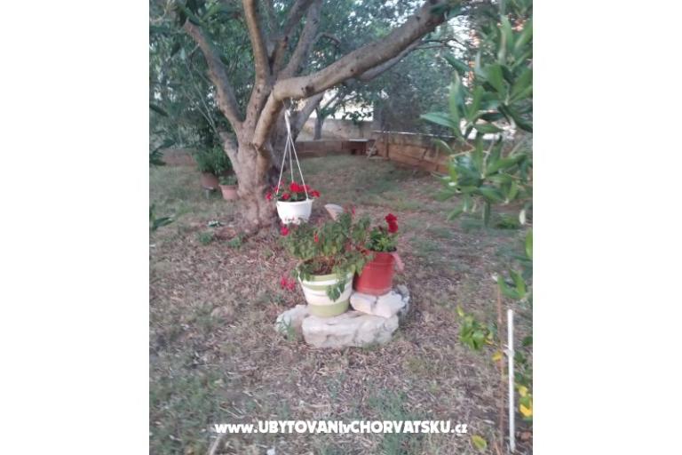 Apartmány Daša – foto 17