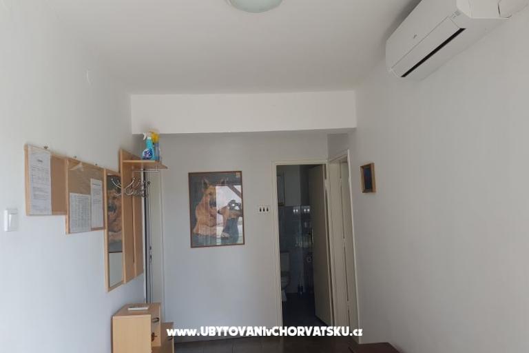 Kuča Gabriela – foto 14