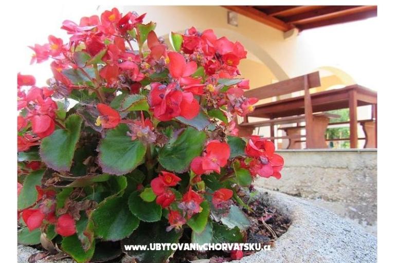 Dům k odpočinku Dević – foto 15