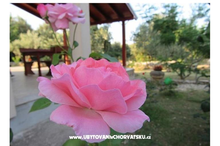 Dům k odpočinku Dević – foto 2