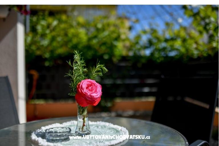 Dům k odpočinku Magdalena – foto 22