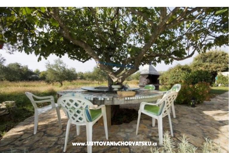 Villa Laura – foto 4