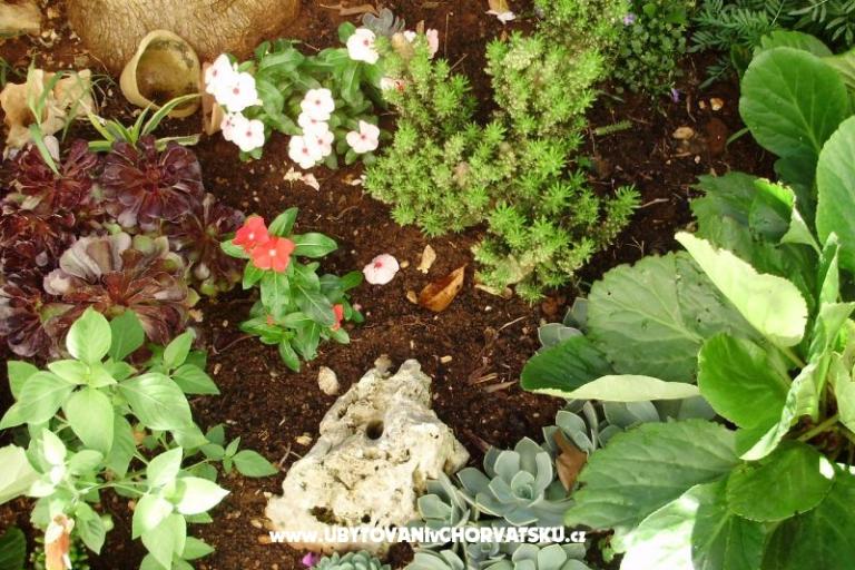 Apartmány Petranic – foto 15