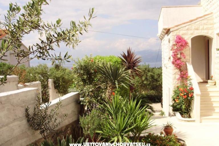 Apartmány Petranic – foto 16