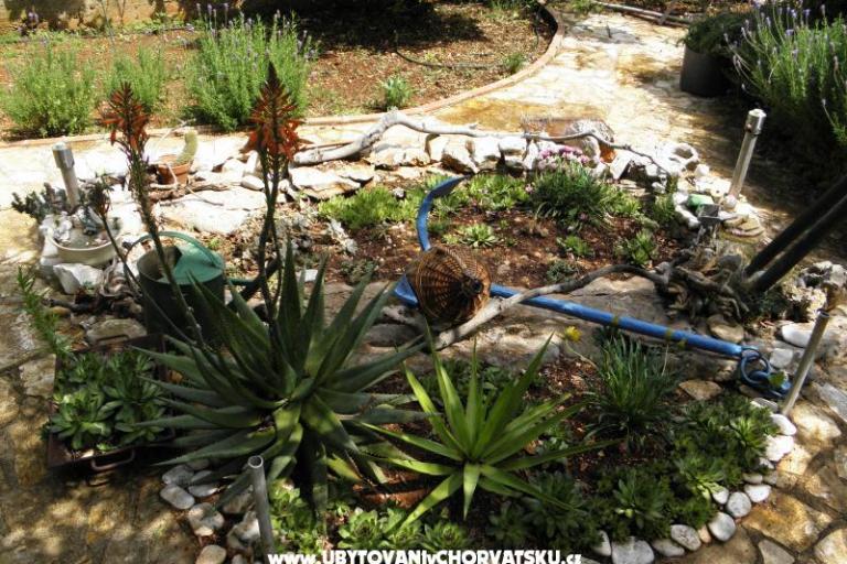 Dům k odpočinku Ivana – foto 17