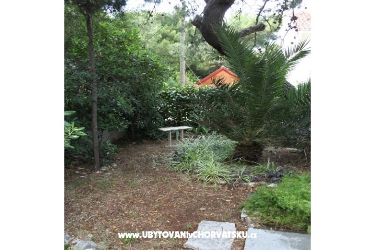 Villa Dragan – foto 5