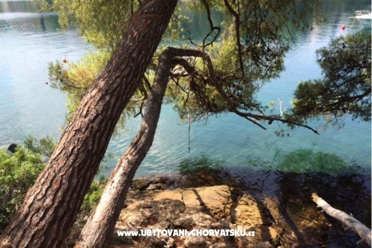 Vile Dinoti – foto 17